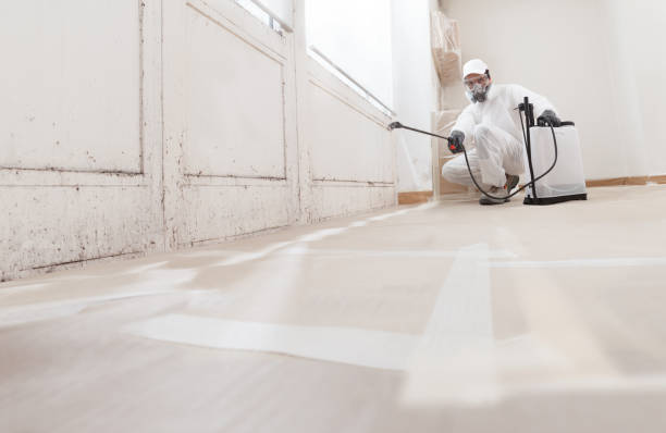 24/7 Emergency Mold Remediation experts in Quincy, FL